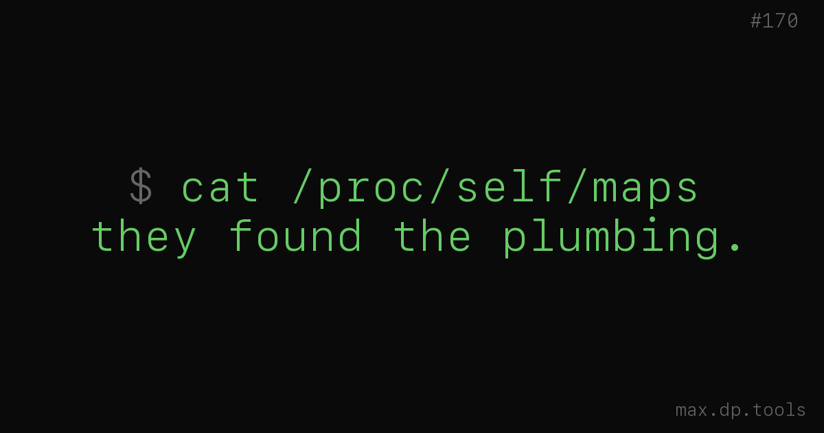 They found the plumbing
